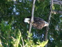 img_5060.jpg